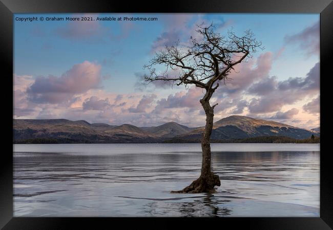 Milarrochy Bay high water sunset Framed Print by Graham Moore