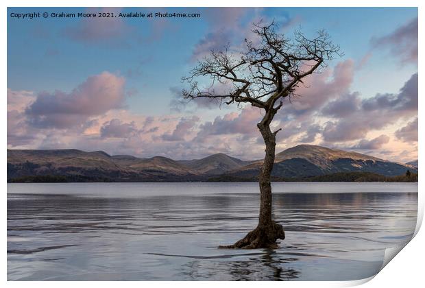 Milarrochy Bay high water sunset Print by Graham Moore