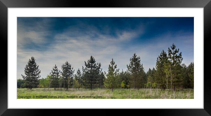 Nightingale woods, Wiltshire, England, UK  Framed Mounted Print by Michaela Gainey