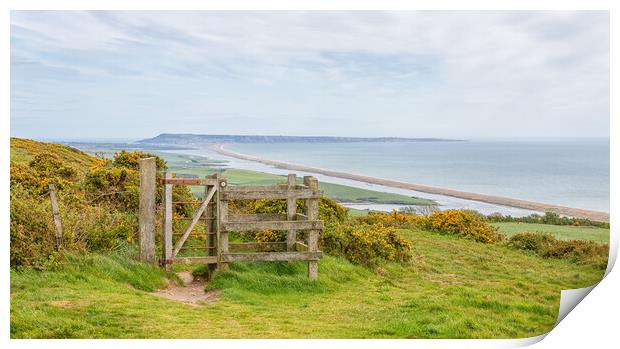 Chesil Beach Print by Mark Godden