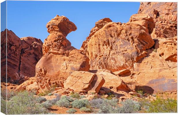 Valley of Fire State Park, Nevada Canvas Print by Arterra 