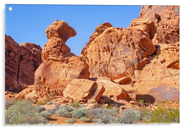 Valley of Fire State Park, Nevada Acrylic by Arterra 