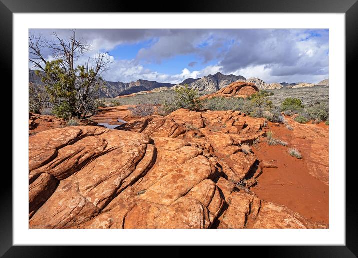 Snow Canyon State Park, Utah Framed Mounted Print by Arterra 