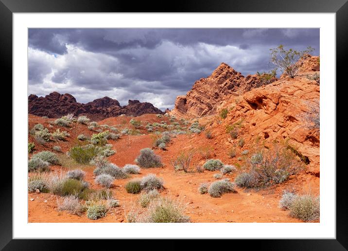 Valley of Fire State Park, Nevada Framed Mounted Print by Arterra 