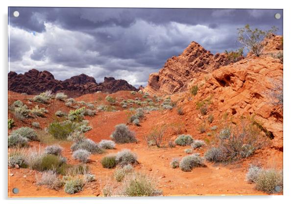 Valley of Fire State Park, Nevada Acrylic by Arterra 