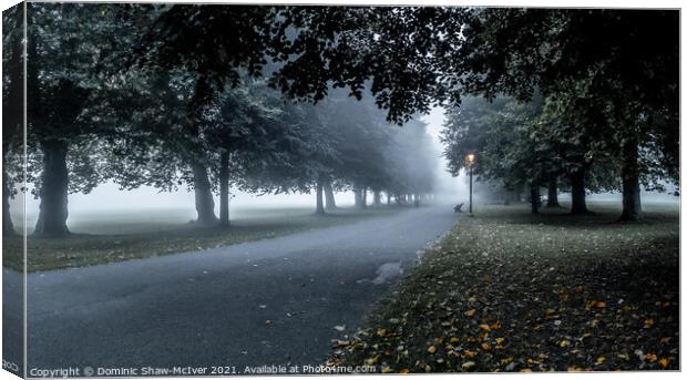 Early Autumn Mist Canvas Print by Dominic Shaw-McIver