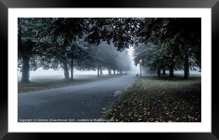 Early Autumn Mist Framed Mounted Print by Dominic Shaw-McIver