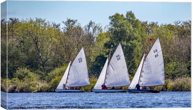 Sailboat race on Wroxham Broad, Norfolk Canvas Print by Chris Yaxley