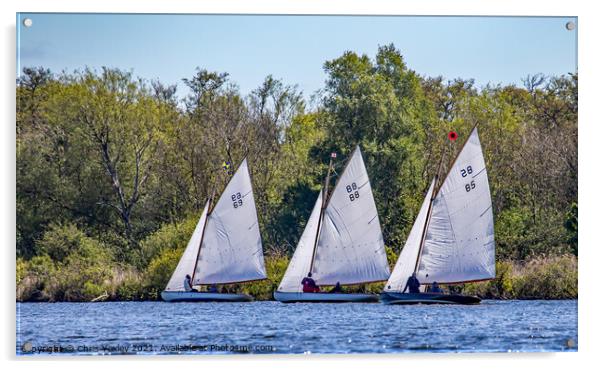 Sailboat race on Wroxham Broad, Norfolk Acrylic by Chris Yaxley