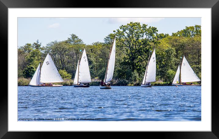 Sailing boats racing on Wroxham Broad, Norfolk Framed Mounted Print by Chris Yaxley
