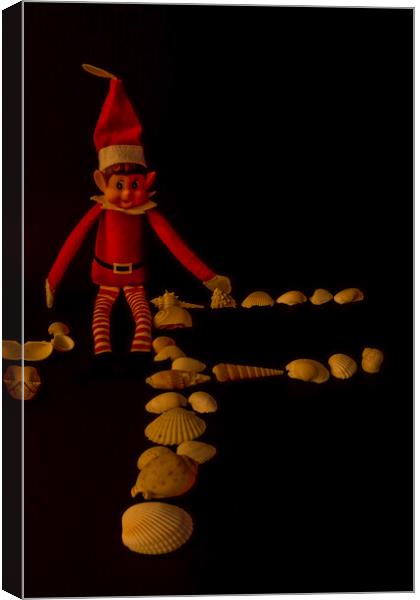 Mischievous Elf Amongst Seashells Canvas Print by Steve Purnell