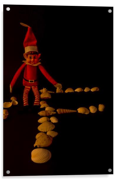 Mischievous Elf Amongst Seashells Acrylic by Steve Purnell