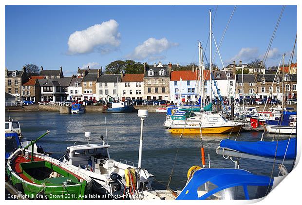 Anstruther harbour Scotland Print by Craig Brown