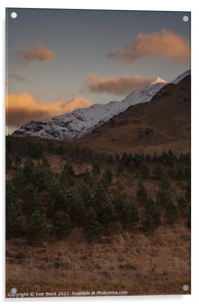 Sunrise on Snow Capped Mountain Acrylic by Ivor Bond