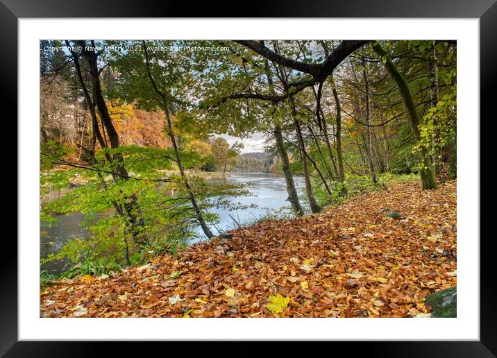 Dunkeld Bridge and the River Tay in Autumn Framed Mounted Print by Navin Mistry