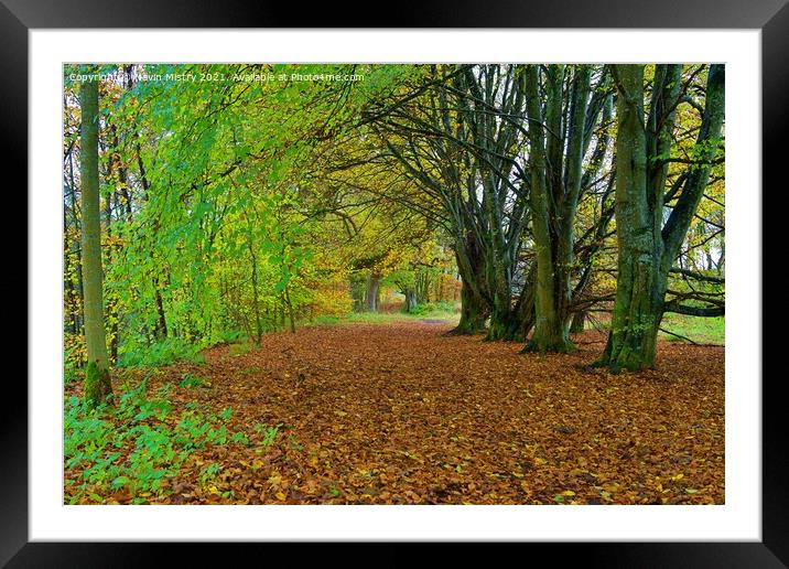 Birnam Walk seen in Autumn Framed Mounted Print by Navin Mistry