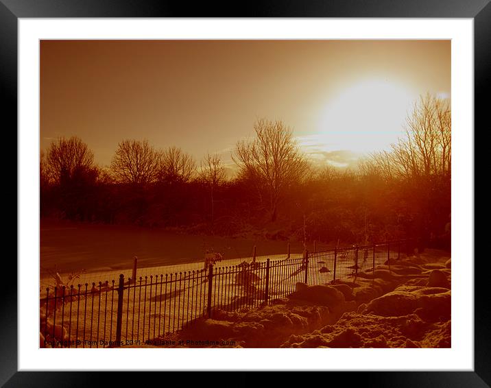 Winter Sun Framed Mounted Print by Tom Damms