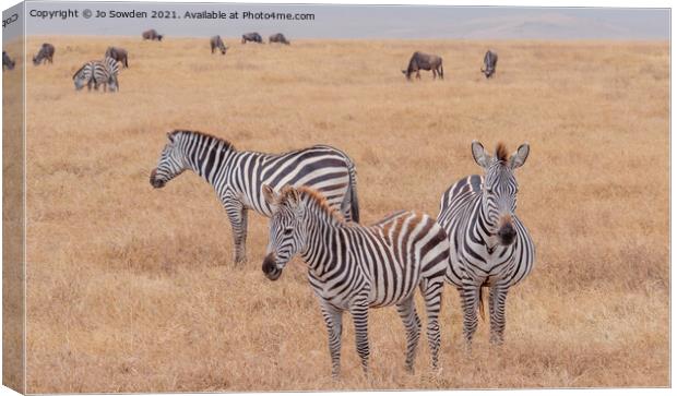 Three Zebras standing in the Serengeti Canvas Print by Jo Sowden