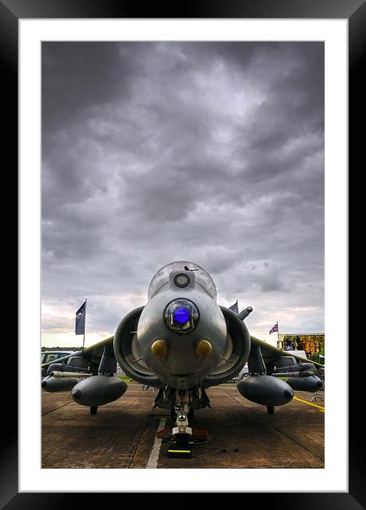 The Harrier Framed Mounted Print by Jason Connolly