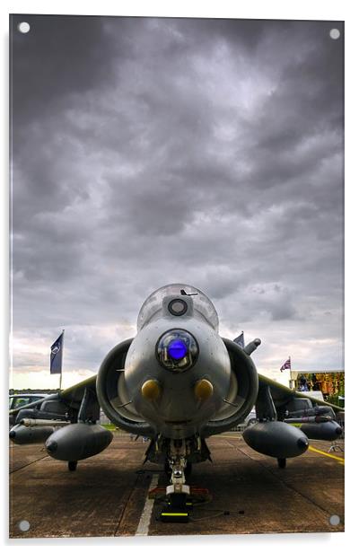 The Harrier Acrylic by Jason Connolly
