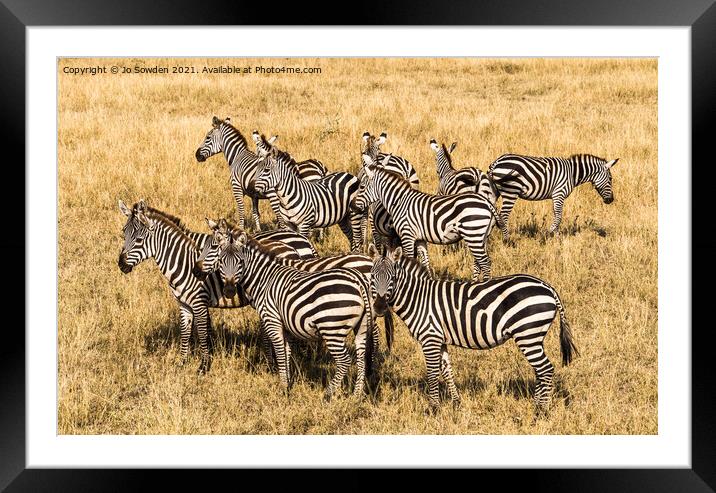 Zebras in the Serengeti Framed Mounted Print by Jo Sowden