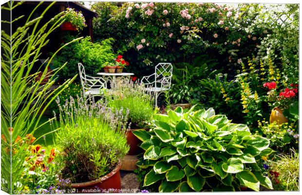 Small densely planted summer garden Canvas Print by Chris Rose