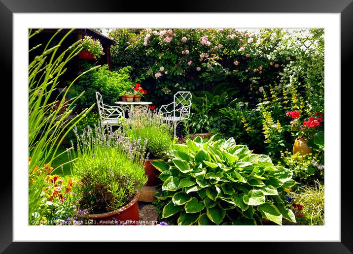 Small densely planted summer garden Framed Mounted Print by Chris Rose