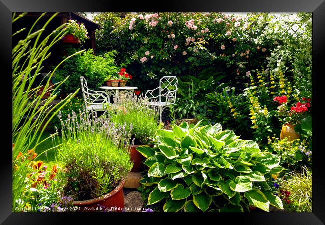 Small densely planted summer garden Framed Print by Chris Rose