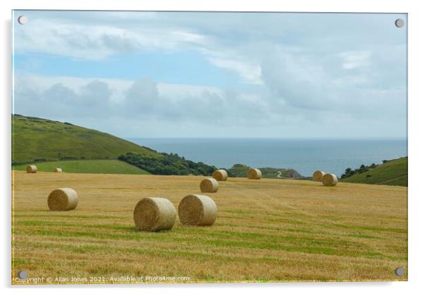 Hay bales Acrylic by Allan Jones