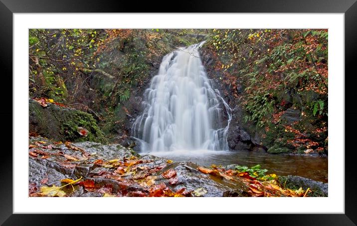 Autumn Framed Mounted Print by Cecil Owens
