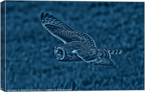 Night Owl Canvas Print by Ste Jones