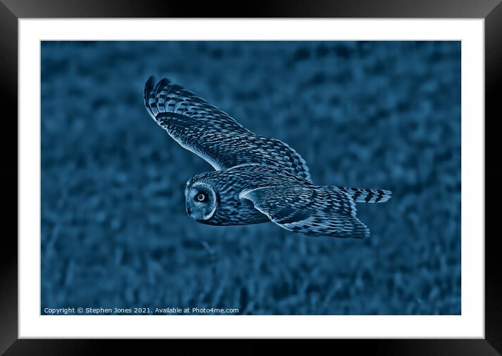 Night Owl Framed Mounted Print by Ste Jones
