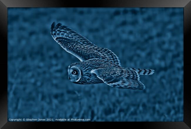 Night Owl Framed Print by Ste Jones
