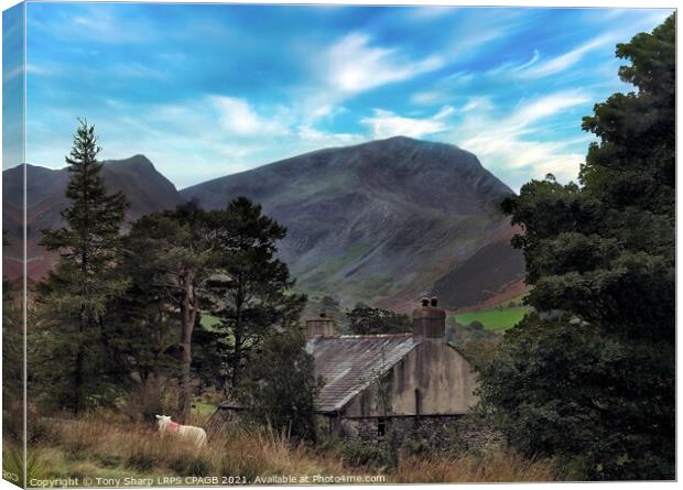 THE NEWLANDS VALLEY ROUND - THE LAKE DISTRICT Canvas Print by Tony Sharp LRPS CPAGB