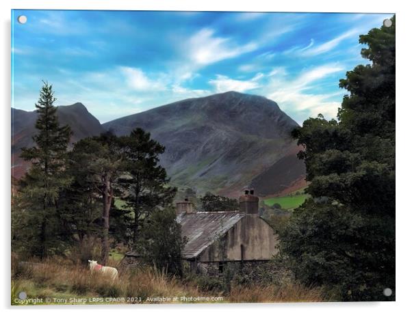 THE NEWLANDS VALLEY ROUND - THE LAKE DISTRICT Acrylic by Tony Sharp LRPS CPAGB