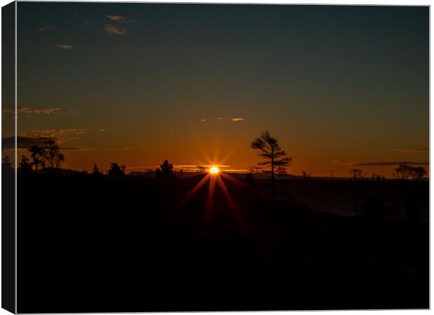 First light in the New Forest Canvas Print by Andy Dow