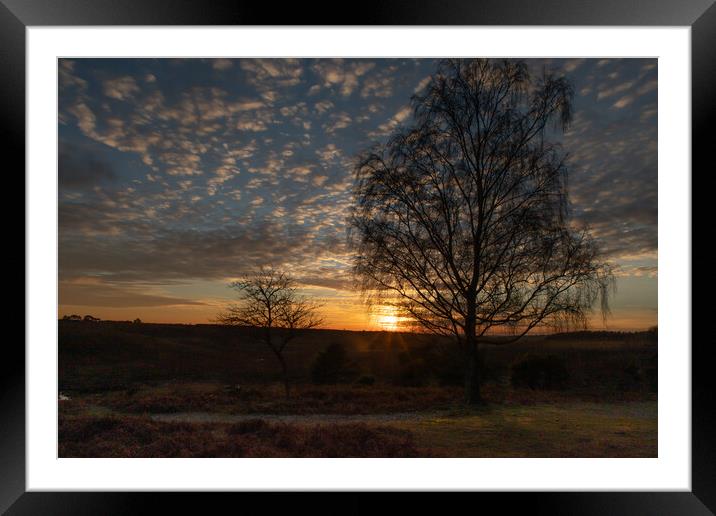 Sunset over the New Forest Framed Mounted Print by Andy Dow