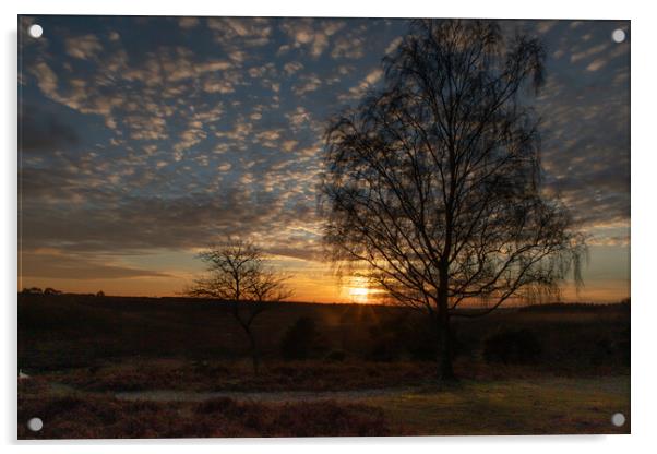 Sunset over the New Forest Acrylic by Andy Dow