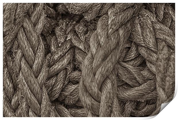 Rope Print by Mark Godden