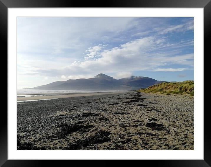 Newcastle's Donard Framed Mounted Print by Steven Porter