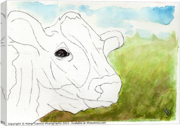 Original Art - Karla the Cow by Maria Tzamtzi Canvas Print by Maria Tzamtzi Photography
