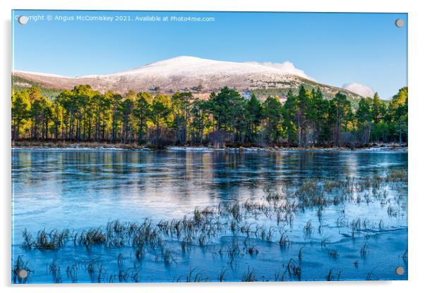 Frozen Loch Morlich Acrylic by Angus McComiskey