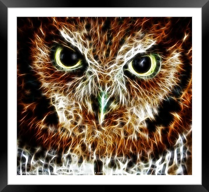 Screech owl fractal Framed Mounted Print by Howard Corlett