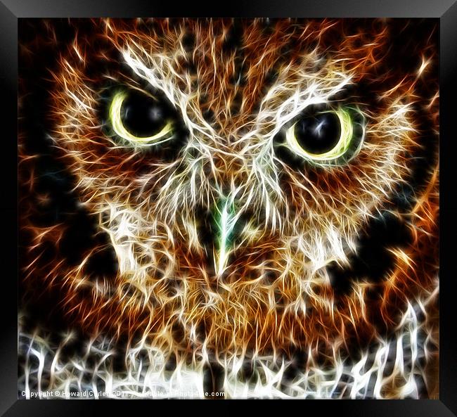 Screech owl fractal Framed Print by Howard Corlett