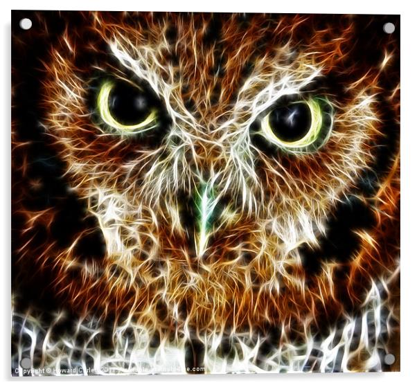 Screech owl fractal Acrylic by Howard Corlett