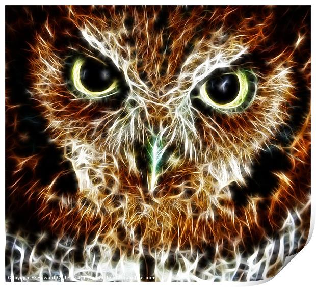 Screech owl fractal Print by Howard Corlett