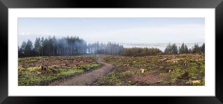Pathway towards Winsnape Brook Framed Mounted Print by Jason Wells