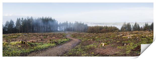 Pathway towards Winsnape Brook Print by Jason Wells