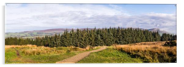 Beacon Fell Country Park panorama Acrylic by Jason Wells