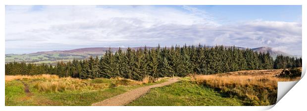 Beacon Fell Country Park panorama Print by Jason Wells